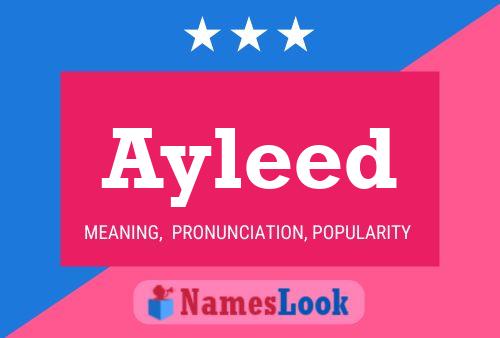 Ayleed Name Poster