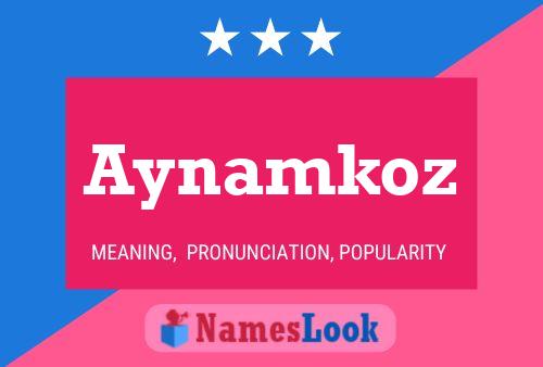 Aynamkoz Name Poster