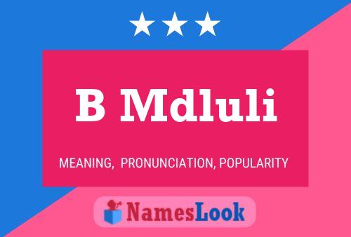 B Mdluli Name Poster