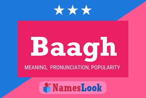 Baagh Name Poster