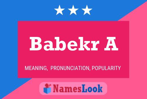 Babekr A Name Poster