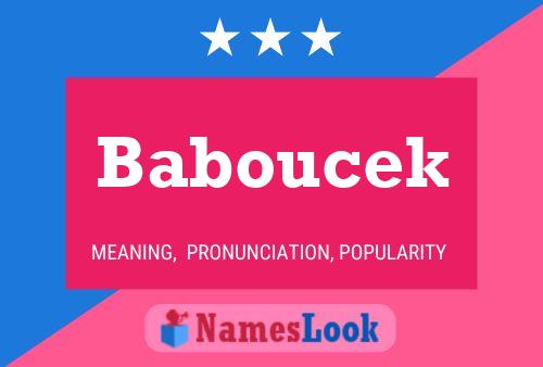 Baboucek Name Poster