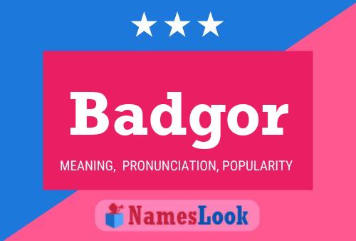 Badgor Name Poster