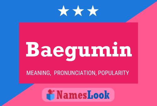 Baegumin Name Poster