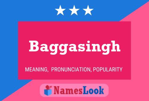 Baggasingh Name Poster