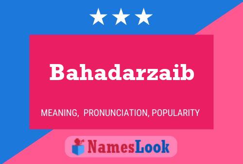 Bahadarzaib Name Poster