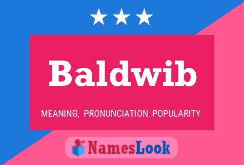 Baldwib Name Poster