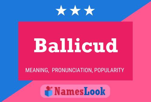 Ballicud Name Poster