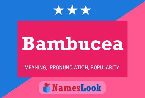 Bambucea Name Poster