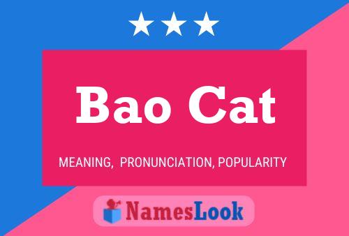 Bao Cat Name Poster