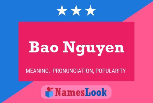 Bao Nguyen Name Poster