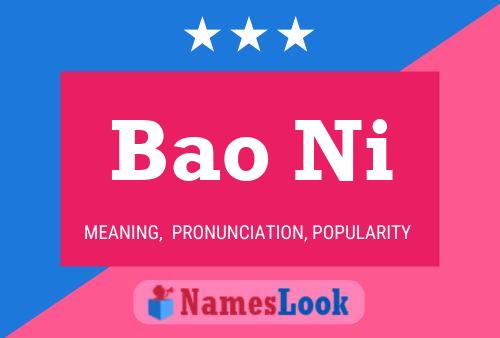 Bao Ni Name Poster