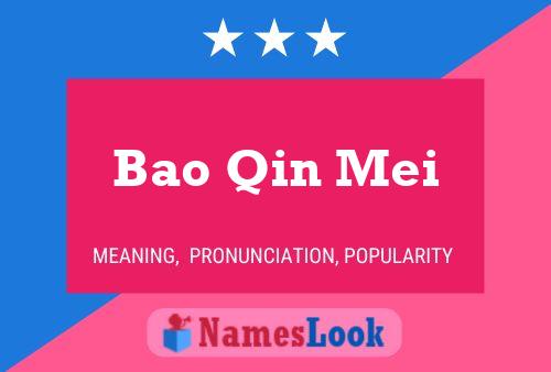 Bao Qin Mei Name Poster