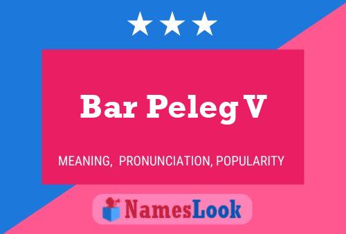 Bar Peleg V Name Poster