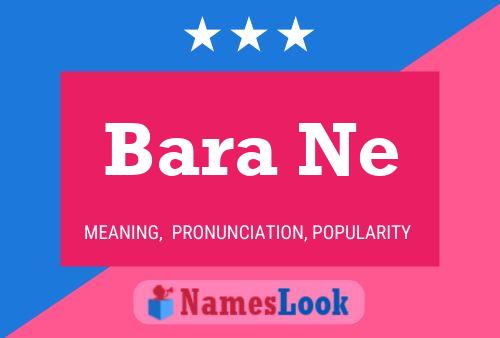 Bara Ne Name Poster