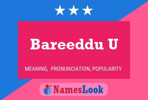 Bareeddu U Name Poster