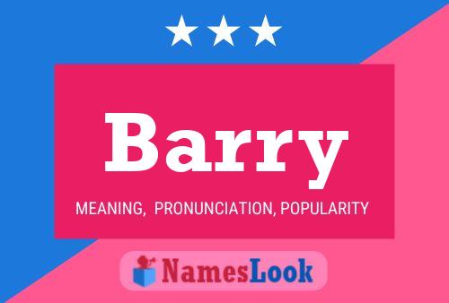 Barry Name Poster