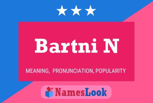 Bartni N Name Poster