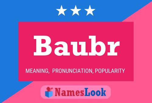 Baubr Name Poster