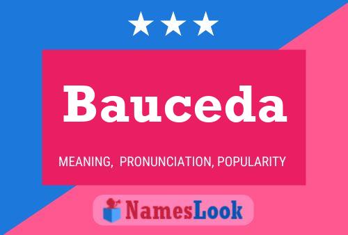 Bauceda Name Poster