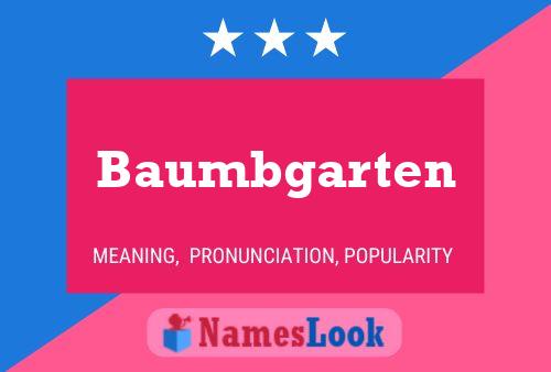 Baumbgarten Name Poster