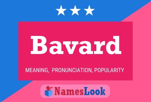 Bavard Name Poster