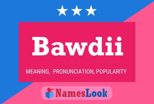 Bawdii Name Poster