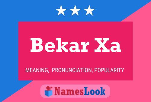 Bekar Xa Name Poster