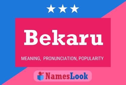 Bekaru Name Poster