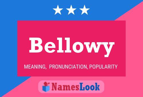 Bellowy Name Poster