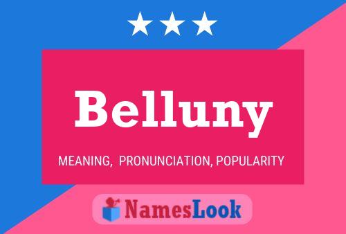 Belluny Name Poster