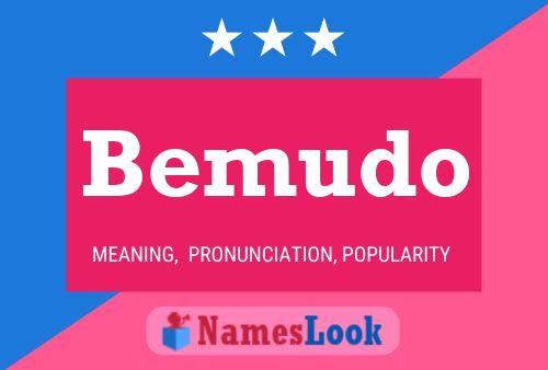 Bemudo Name Poster