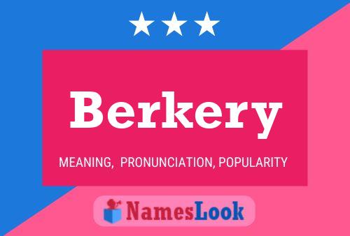 Berkery Name Poster