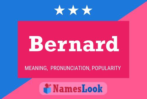 Bernard Name Poster