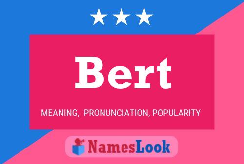 Bert Name Poster