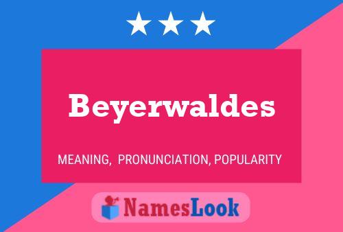 Beyerwaldes Name Poster