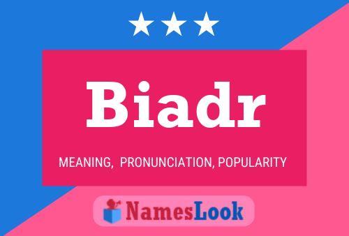 Biadr Name Poster