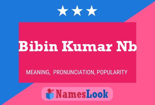 Bibin Kumar Nb Name Poster