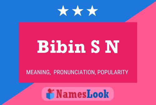 Bibin S N Name Poster