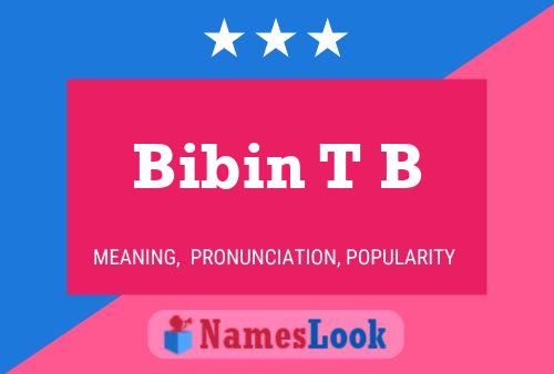 Bibin T B Name Poster