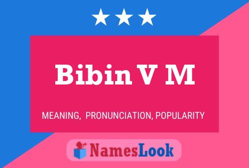 Bibin V M Name Poster