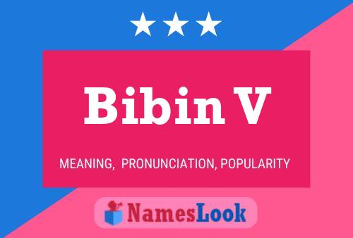 Bibin V Name Poster