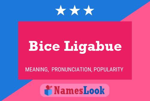 Bice Ligabue Name Poster