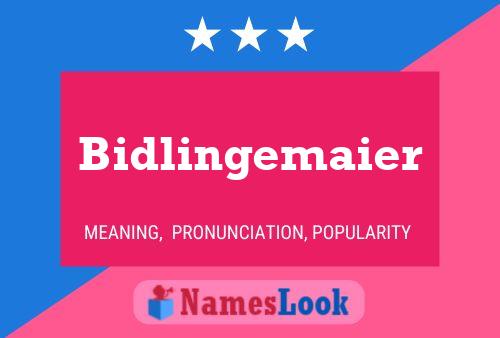 Bidlingemaier Name Poster