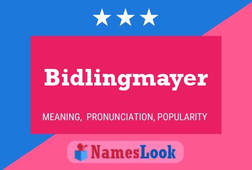 Bidlingmayer Name Poster