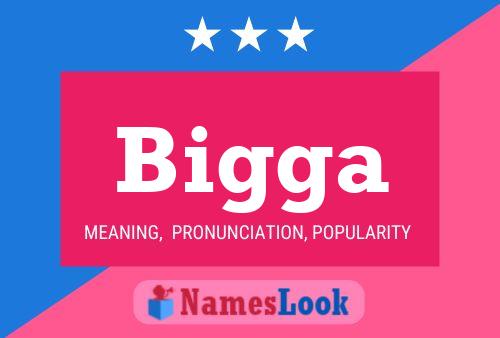 Bigga Name Poster