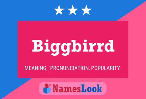 Biggbirrd Name Poster