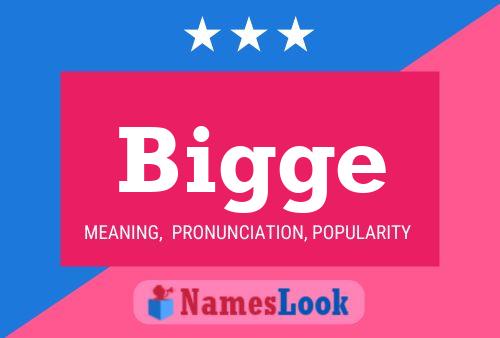 Bigge Name Poster