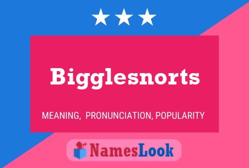 Bigglesnorts Name Poster