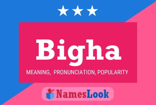 Bigha Name Poster